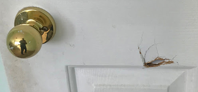 interior door hole repair Sausalito