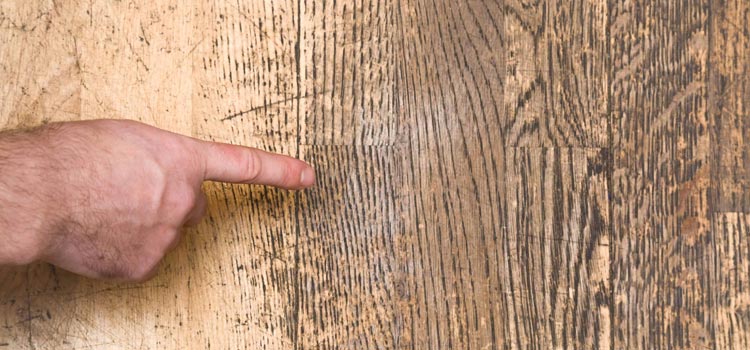 Wood Door Scratch Repair in Sausalito